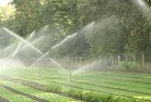 Woolocuttylandscaping-water-management-and-drainage-17.jpg; ?>